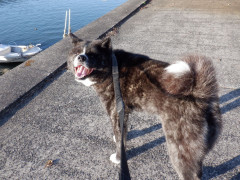 DSCF3936.JPG