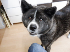 DSCF3939.JPG