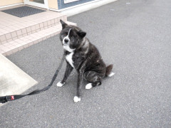 DSCF3945.JPG