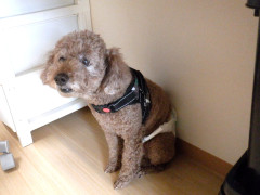 DSCF3962.JPG