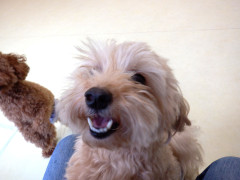 DSCF3959.JPG