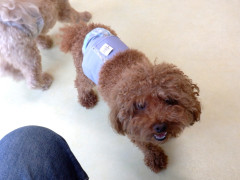 DSCF3956.JPG