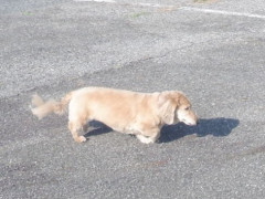 DSCF3974.JPG