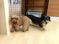 DSCF4130.JPG