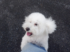 DSCF4105.JPG