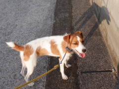 DSCF4135.JPG