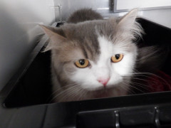 DSCF4172.JPG