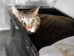 DSCF4169.JPG
