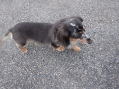 DSCF4159.JPG