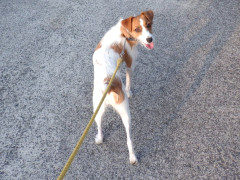 DSCF4177.JPG
