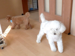 DSCF4188.JPG