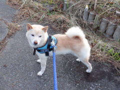 DSCF4192.JPG