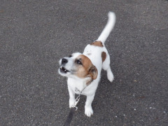 DSCF4197.JPG