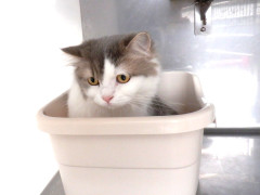 DSCF4204.JPG