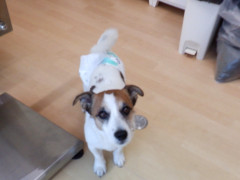 DSCF4211.JPG