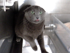 DSCF4217.JPG
