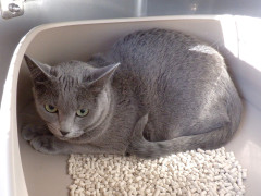 DSCF4221.JPG