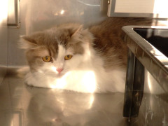 DSCF4219.JPG