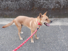 DSCF4228.JPG
