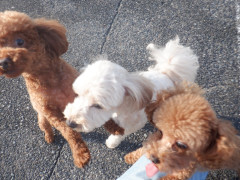 DSCF4254.JPG