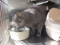 DSCF4276.JPG