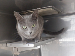 DSCF4273.JPG