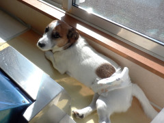 DSCF4326.JPG