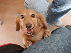 DSCF4330.JPG