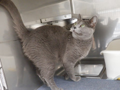 DSCF4320.JPG