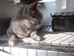 DSCF4323.JPG
