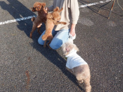 DSCF4313.JPG