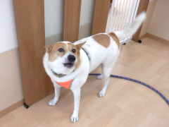 DSCF4352.JPG