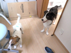 DSCF4365.JPG