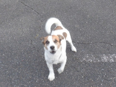 DSCF4375.JPG