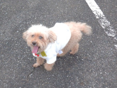 DSCF4376.JPG