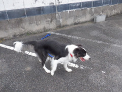 DSCF4379.JPG