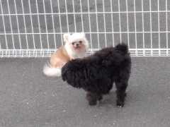 DSCF4434.JPG