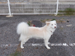 DSCF4431.JPG