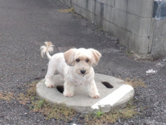 DSCF4428.JPG