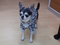 DSCF4438.JPG