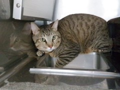 DSCF4437.JPG