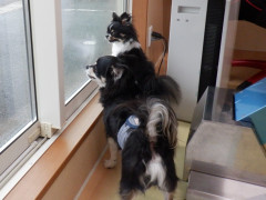 DSCF4465.JPG