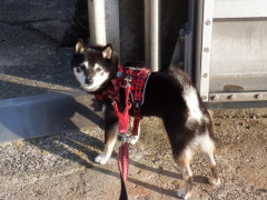 DSCF4477.JPG