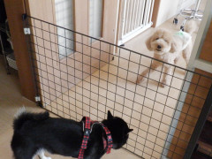 DSCF4485.JPG