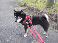 DSCF4490.JPG