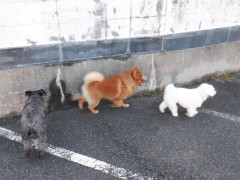 DSCF4506.JPG