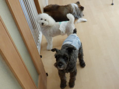 DSCF4531.JPG