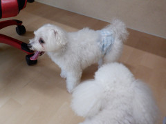 DSCF4560.JPG