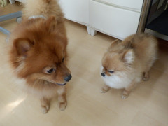 DSCF4566.JPG