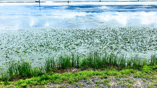 ブログ更新しました！ 「時間と人生 〜命の流れを生きる〜」